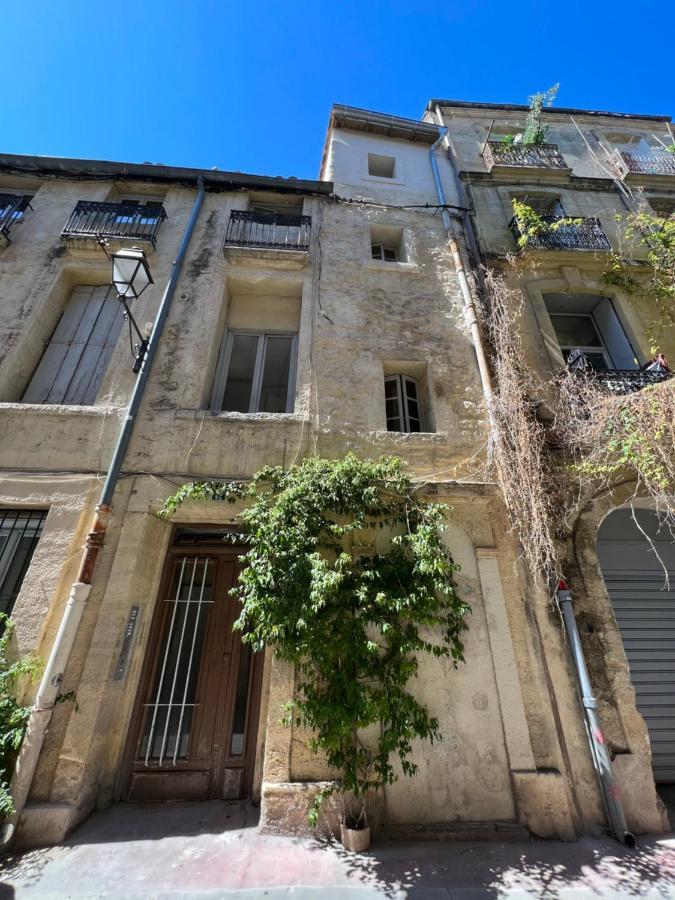 Charmant Studio Au Coeur De L'Ecusson Montpellier Eksteriør bilde